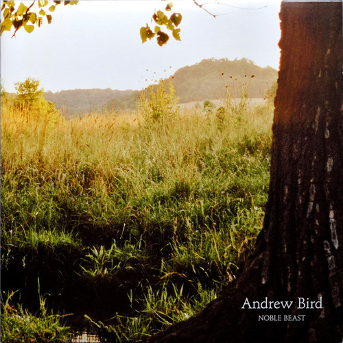 Andrew Bird – Noble Beast (2LPs used US 2009 in gatefold jacket NM-/NM-)