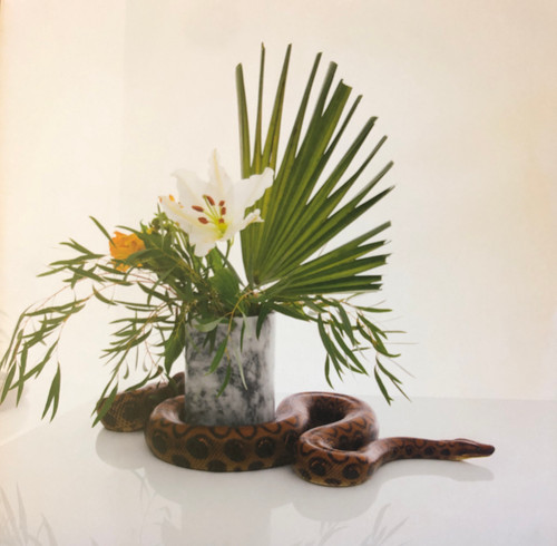 Noah Gundersen  - White Noise (NM-/NM-) (EU, 2017, Black Vinyl) - 2xLP