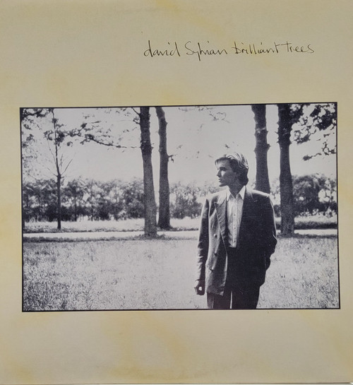 David Sylvian – Brilliant Trees  (LP used Canada 1984 VG-/VG-)