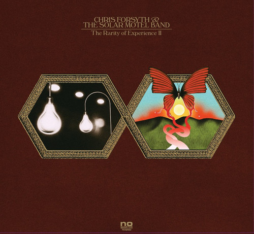 Chris Forsyth & The Solar Motel Band – The Rarity Of Experience (2LPs used US 2016 in gatefold jacket psych rock NM-/VG+)