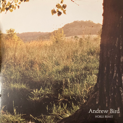 Andrew Bird – Noble Beast (NM-/NM-) (2009, US, 2xLP) 