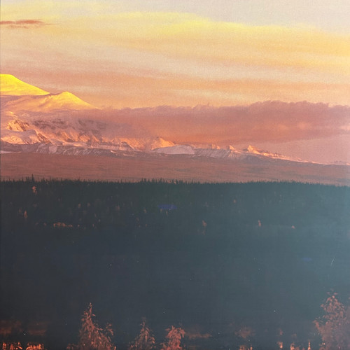 Mono / Pelican - self-titled (2005, colour vinyl, NM/NM)