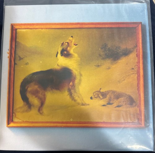 Explosions in the Sky - The Rescue (2019 Orange EX/EX)