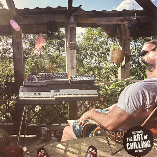 The Breed - The Art Of Chilling Volume 2 (2022, EX/EX)