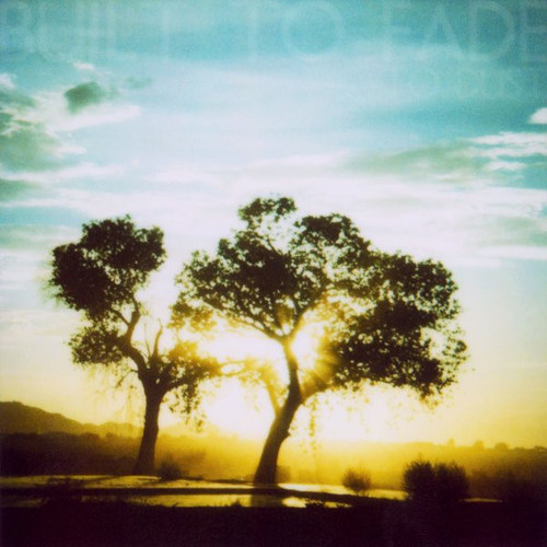 Built To Fade  - To Dust (2014 Limited Edition NM/NM)