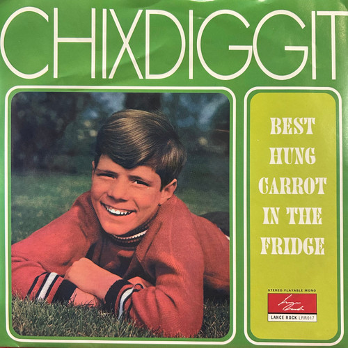 Chixdiggit - Best Hung Carrot In The Fridge 7” (1995, NM/NM)