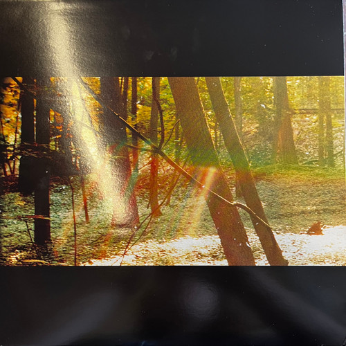 Childish Gambino - Camp (Black Vinyl Trifold - EX/VG+)