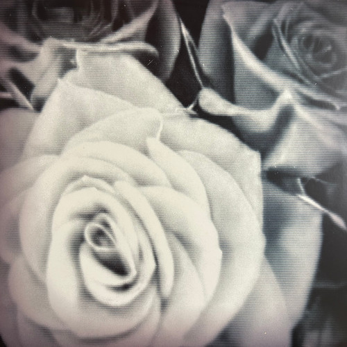 The Mountain Goats - All Eternals Deck (2011, clear vinyl, NM/NM)