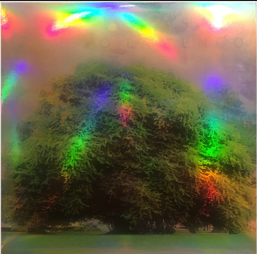 Yo La Tengo - Fade (2013 US, Deluxe, Numbered, Includes 7” single, NM-/NM-)