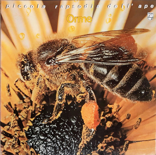 Le Orme  -  Piccola Rapsodia Dell’ Ape (1980 1st Italian Pressing EX/EX)