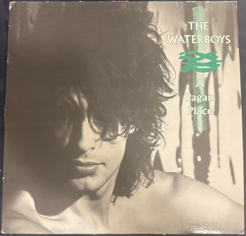 The Waterboys - A Pagan Place (1983 Promo VG+/VG)