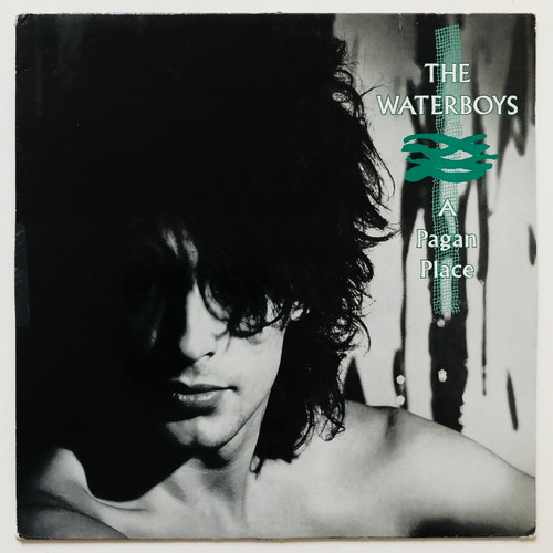 The Waterboys - A Pagan Place (EX / VG+)