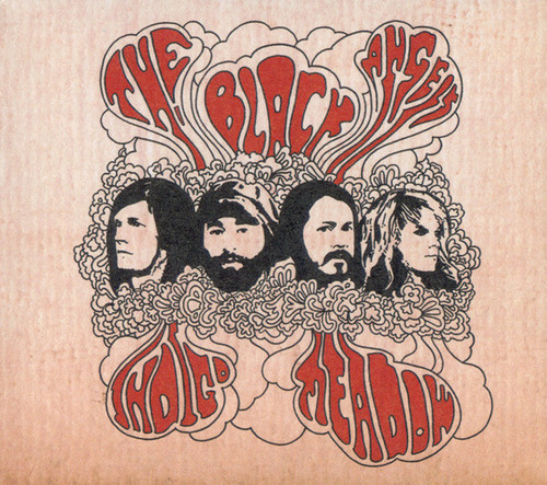 The Black Angels – Indigo Meadow (CD used US 2013 NM-/NM-)