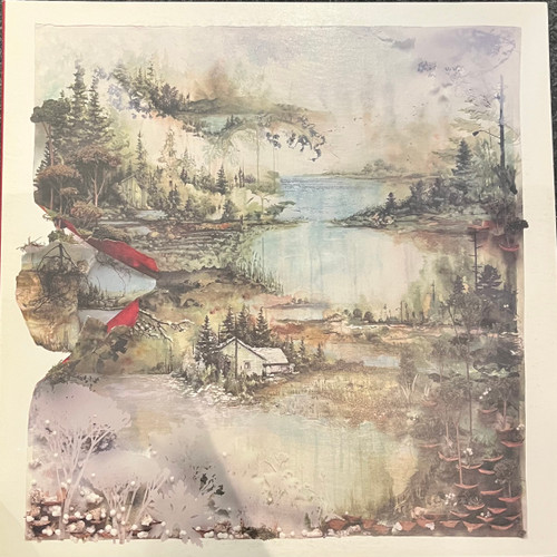 Bon Iver  - Bon Iver, Bon Iver (Black Vinyl Reissue - VG+/EX)
