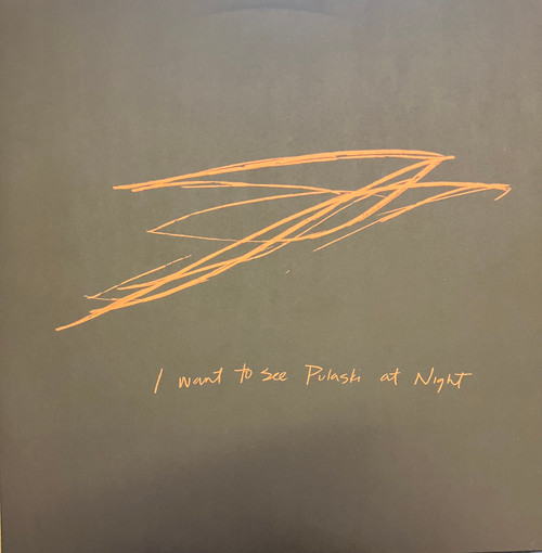 Andrew Bird - I Want To See Pulaski At Night (EX/EX) (2013, US)