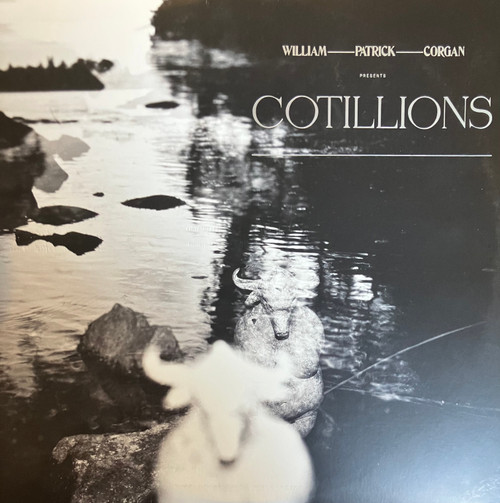 William Patrick Corgan - Cotillions (EX-/VG) (2020, US & EU, 2xLP, Gatefold) - Smokey black translucent vinyl