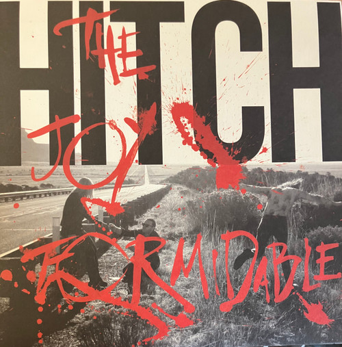 The Joy Formidable - Hitch (NM-/NM-) (2016, UK, 2xLp)