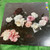 New Order - Power, Corruption And Lies (VG/VG)