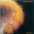 Carla Bley - Sextet LP used US 1987 NM/VG+