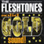 The Fleshtones - Solid Gold Sound (2001 NM/NM)