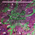 Liquid Tension Experiment - Liquid Tension Experiment (2022 US pressing, haze/ splatter vinyl)