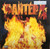 Pantera - Reinventing The Steel (2021 Marbled Vinyl Sealed)