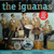 The Iguanas - Iguanas (1996 NM/NM)