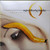 A Perfect Circle - Thirteenth Step