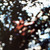 Pink Floyd - Obscured By Clouds (VG+/EX)