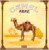Camel – Mirage (LP used France 1979 VG+/VG)