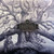 Mastodon — Hushed and Grim (US 2021, Limited Edition Clear Vinyl, In Shrink Wrap, EX/EX)