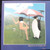 Penguin Cafe Orchestra ~ Music From The Penguin Cafe (1982 Japanese Import with Inserts NM/NM)