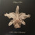 Kings of Leon - Aha Shake Heartbreak (2011 NM/EX)