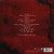 Slayer - World Painted Blood (2009 NM/NM)