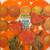 Brian Wilson - That Lucky Old Sun (2008 NM/NM)
