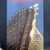James Montgomery Band – High Roller (LP NEW SEALED US 1974)