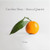 Caroline Shaw — Orange (US 2020, Orange Vinyl, Sealed)