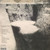 Leaf Hound – Growers Of Mushroom (LP used UK 2015 remastered reissue NM/NM)