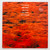 Kenny Wheeler – Gnu High (EX / EX)