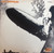Led Zeppelin - Led Zeppelin (1976 Italy, Reissue, NM/VG+)