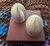 Totem  Beak - 1 pair - used 