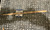 Richie Ramone Autographed Drum Stick with COA