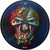 Iron Maiden - The Final Frontier (2010 Picture Discs NM/NM)