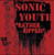 Sonic Youth - Rather Ripped (2016 USA reissue, NM/EX)