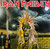 Iron Maiden - Iron Maiden (2024 EU, reissue, remaster NM-/NM)