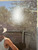 Sparks - Indiscreet (1975 USA NM/VG+)