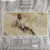 Nico – Desertshore (LP used US 2002 remastered 180 gm vinyl reissue in gatefold jacket VG+/VG+)