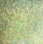 Iron + Wine - Our Endless Numbered Days (EX/EX) (2005, US, Repress)