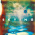 The Horrors - Skying (2011 UK - VG+/EX)