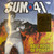 Sum 41 - Half Hour Of Power (2022 EU Music on Vinyl 180g, EX/EX)